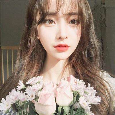 28网站下载手机版