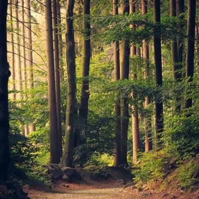 开元ky7818老版本下载手机版截图