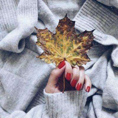 大发黄金版app下载下载手机版