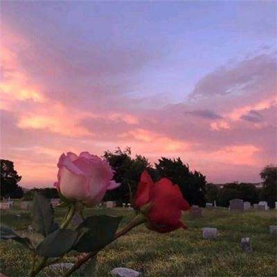 澳门太阳游戏城appapp下载