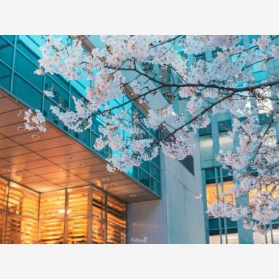 BOB最新版本下载