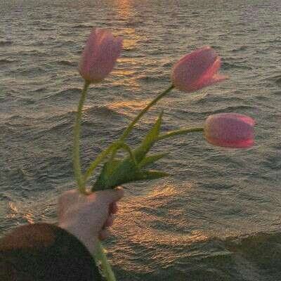 开元ky7818老版本下载手机版截图