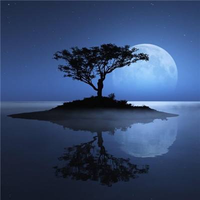 bob·体育综合app下载手机版